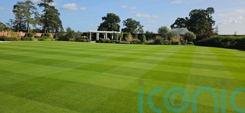 What to do month-by-month to keep your lawn looking lush