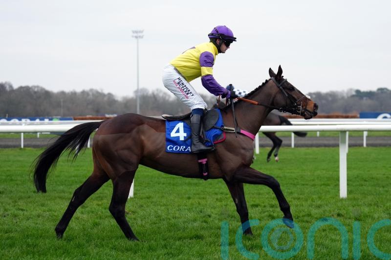 Kerry Lee planning to ‘shop around’ for Nemean Lion aim