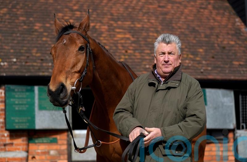 Nicholls: Straight to Cheltenham now with Bravemansgame