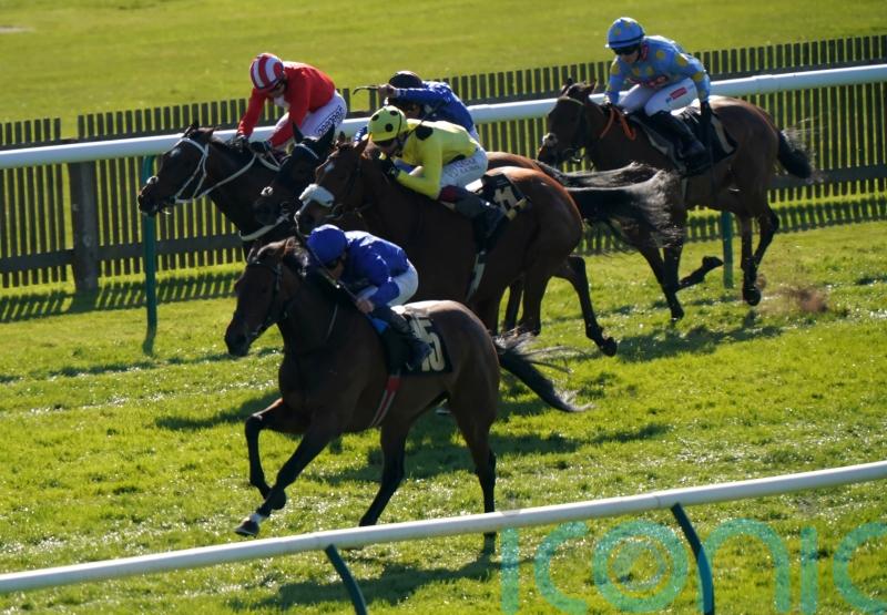 Silver Lady upsets stablemate English Rose at Meydan
