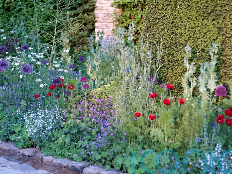 What is a low-carbon garden and how do you achieve it?