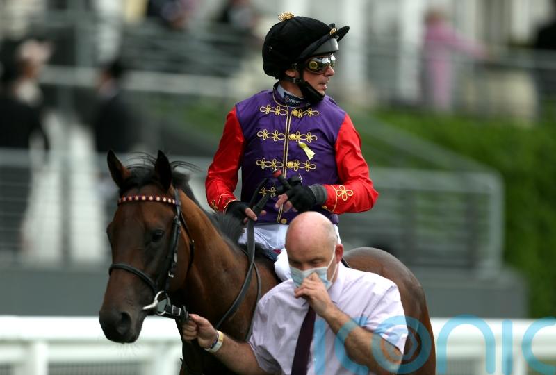 Reach For The Moon could yet be a royal representative at Cheltenham