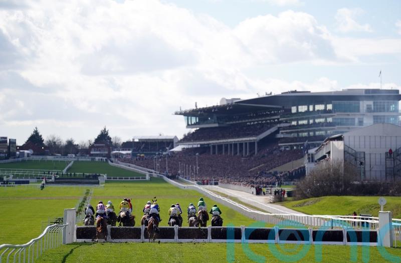 Theleme ruled out of Stayers&rsquo; Hurdle following setback