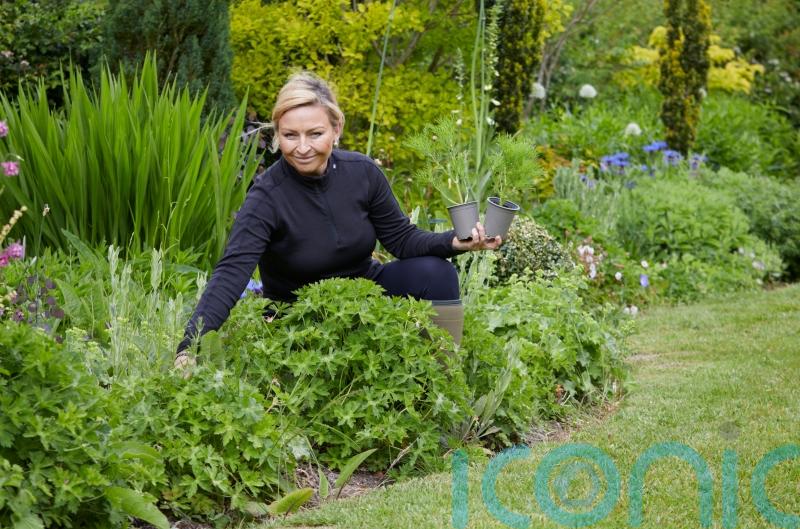 How to create a beautiful garden without spending a fortune