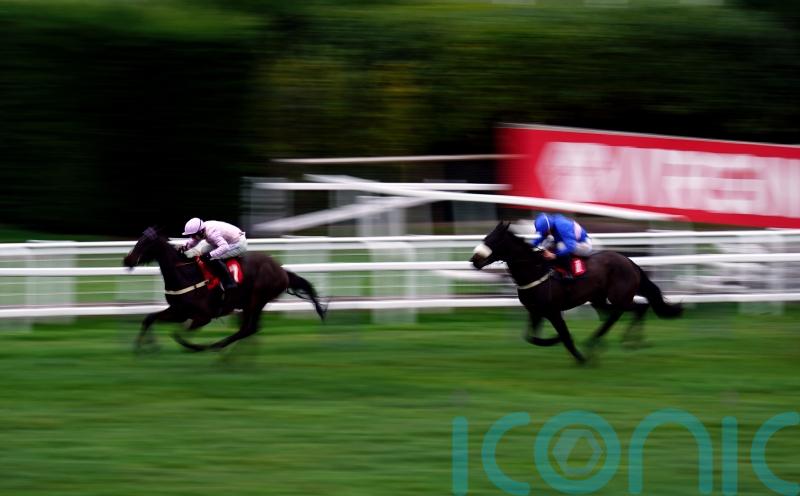 Sandown victor Sixmilebridge enters Pauling’s Festival equations