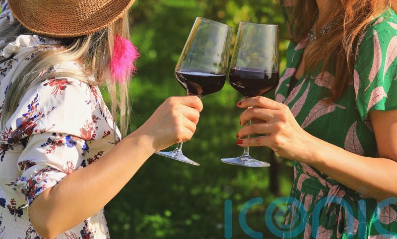 6 brilliant Bordeaux from the red wine capital of the world