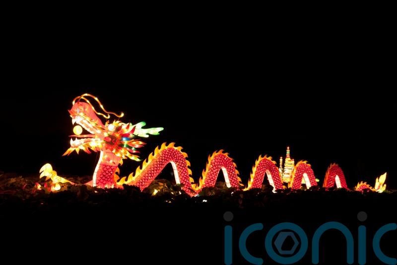 Chinese New Year: What does the year of the dragon mean for you?