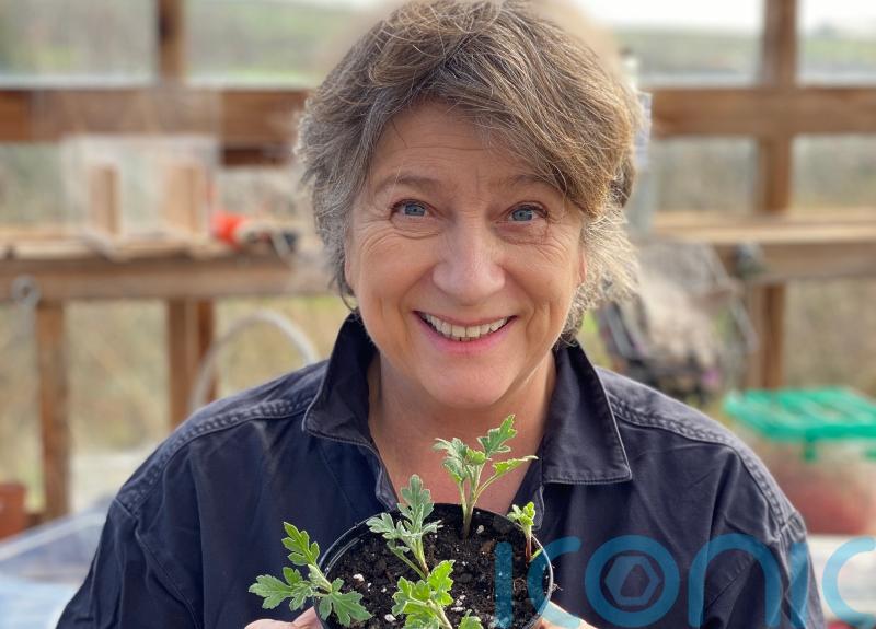 Caroline Quentin: Being an actor and a gardener is not a happy combination