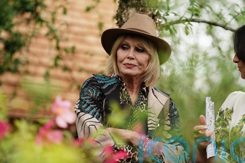 Joanna Lumley makes surprise dramatic appearance at London Fashion Week