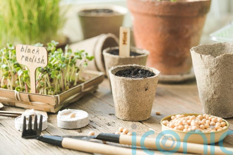 How to be (almost) plastic-free in your garden