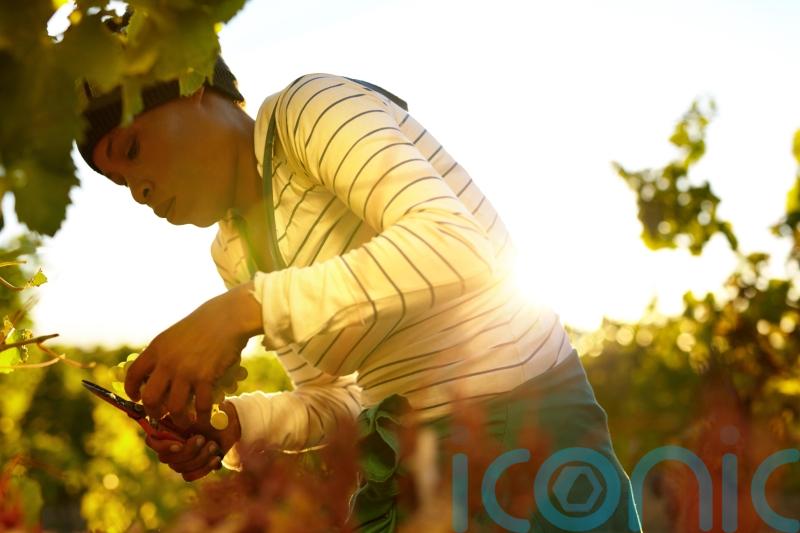 6 top drops by female winemakers to toast International Women’s Day