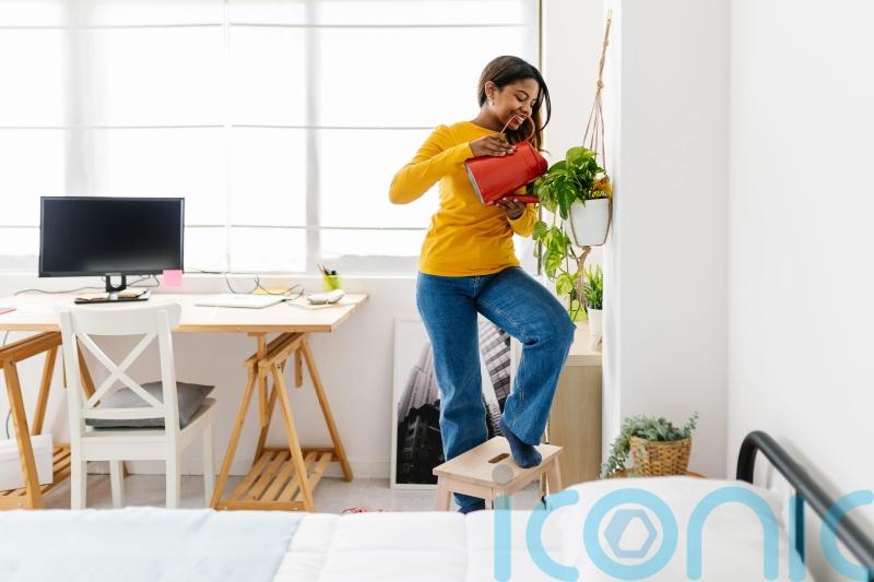 As demand for houseplants soars: What are the best and hardiest plants for your home?