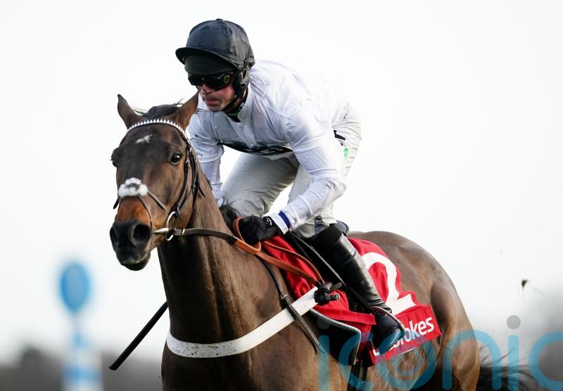 Champion Hurdle market rocked following Constitution Hill workout