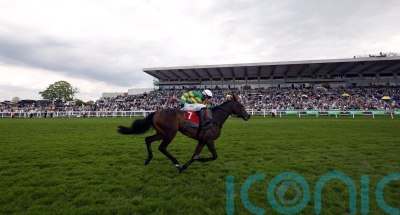 O’Neill team backing Crebilly to be a Plate smasher