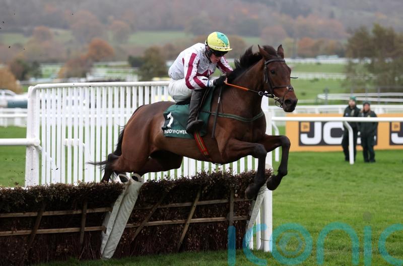 ‘Horses for courses’ – Gilligan hoping Buddy can make his mark at the Festival