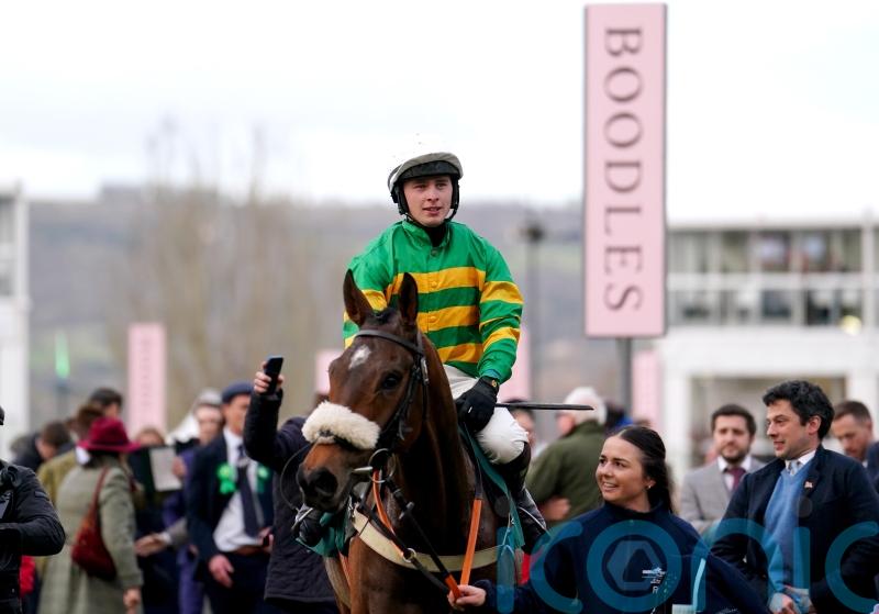 Iroko out to prove Festival comeback king