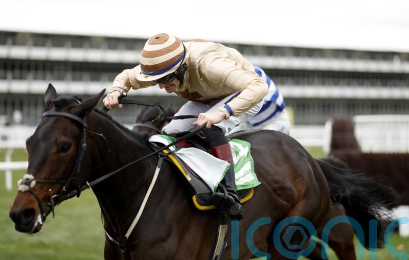 Cheltenham experience could be vital for Broadway Boy’s Brown Advisory bid