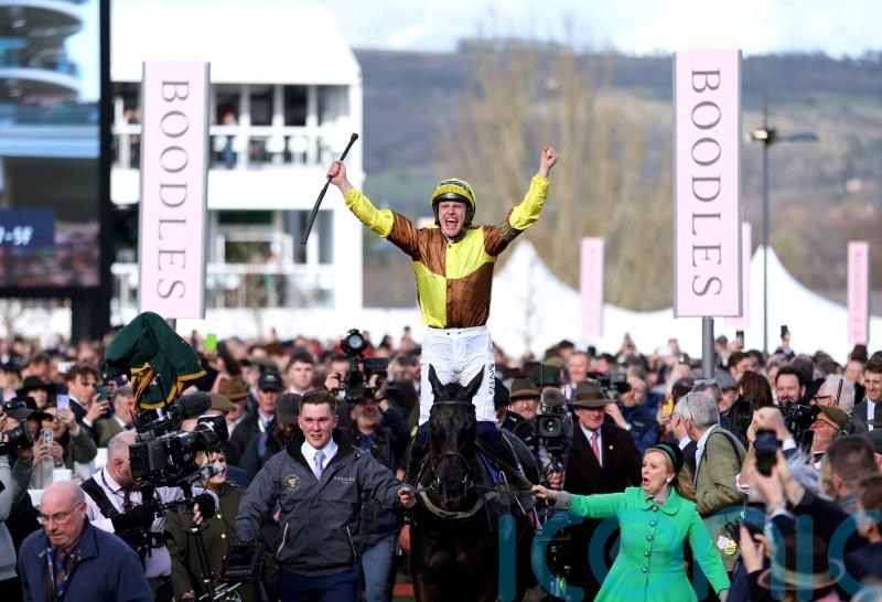 Harrington ‘well aware’ of overwhelming number of Irish-trained Festival favourites