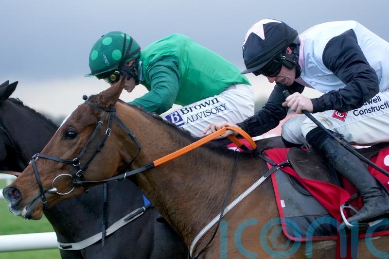 Hopes high Teahupoo has what it takes for Stayers’ Hurdle gold