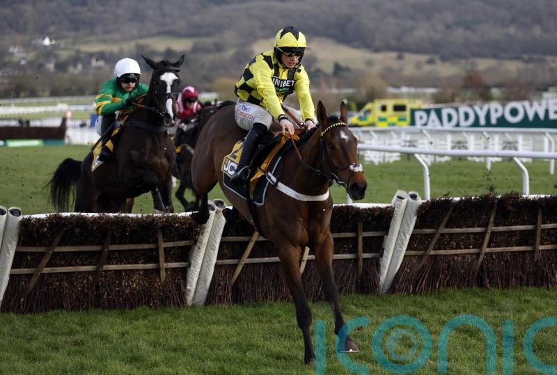 Triumph Hurdle favourite Sir Gino ruled out by Henderson