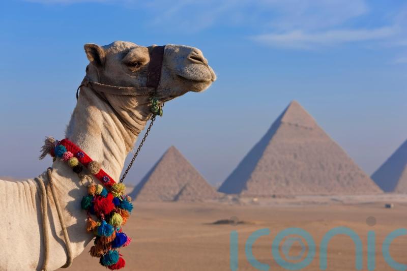 A first look at the Great Egyptian Museum, set to be the most exciting opening in modern times