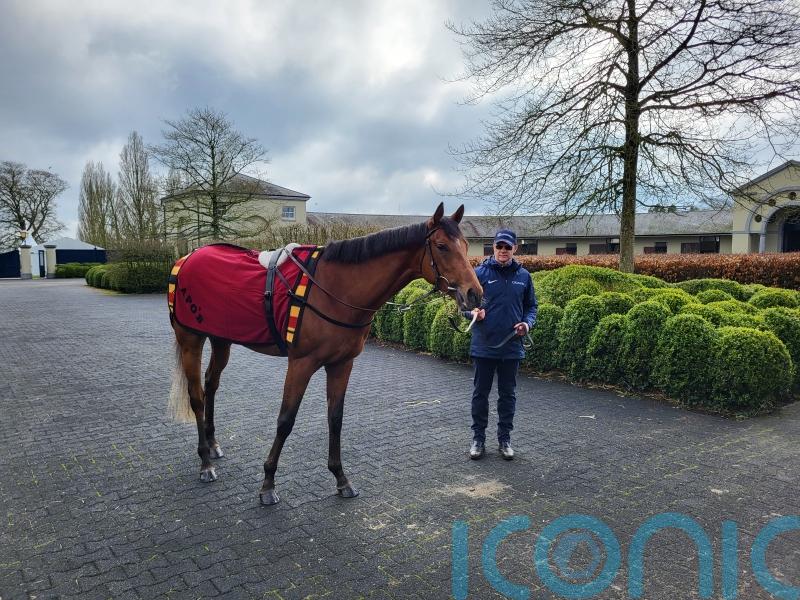 O’Brien staying relaxed ahead of huge year for City Of Troy