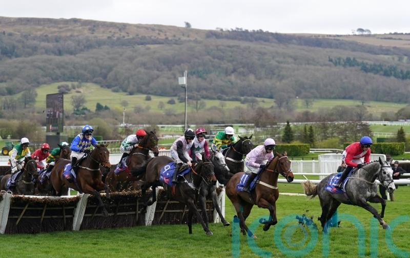 Tellherthename to hold out for better ground after Cheltenham effort