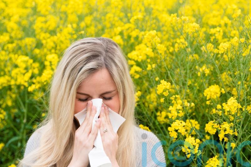 Hay fever ‘misery’ for millions this pollen season – expert advice for prevention and treatment