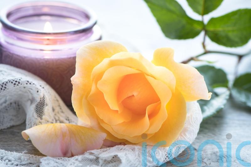 How to scent the home with seasonal vibes