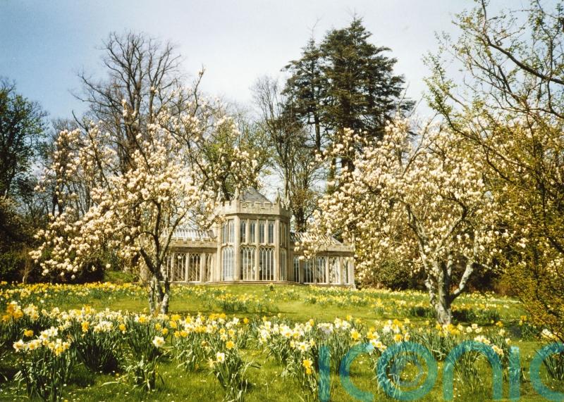 5 sensational spring walks to make you feel alive