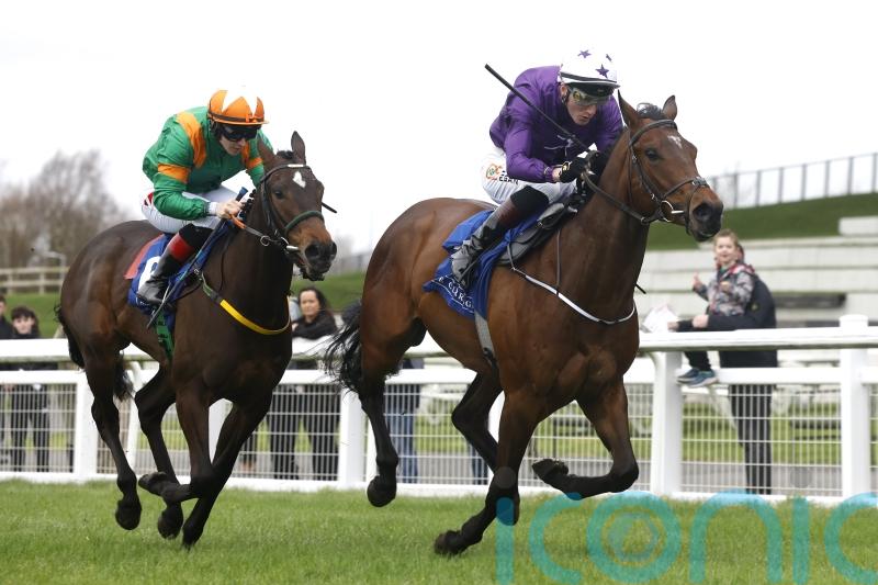 Murray plotting path to Royal Ascot with Arizona Blaze