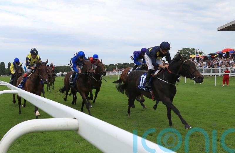 Mystic Pearl looking to prove Kempton gem