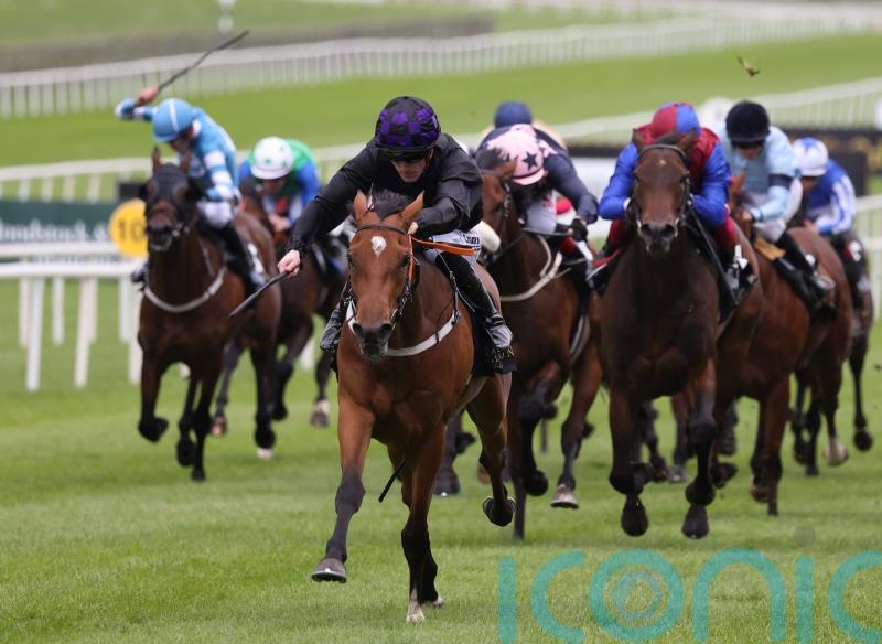 Twomey charting Classic course with top fillies