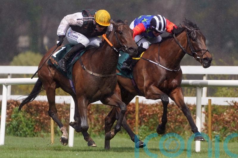 A Lilac Rolla digs deep for Group Three glory