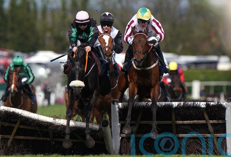 Gilligan so proud of another fine effort from Buddy One