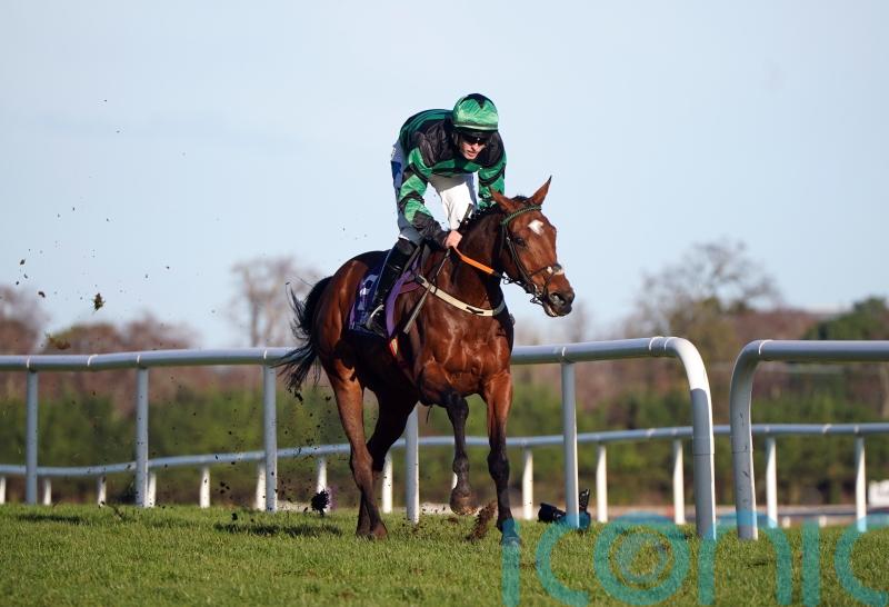 McConnell star Seddon set for return at Punchestown Festival