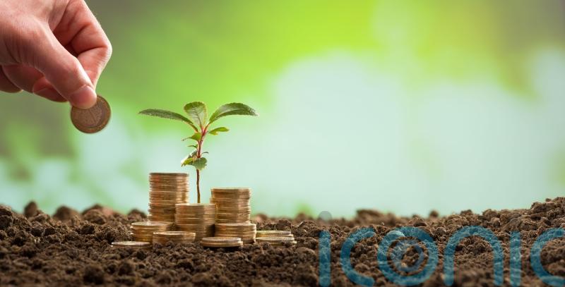 Simple money-saving and sustainable hacks for gardeners