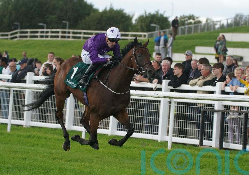 Bucanero Fuerte set to skip Guineas with Ascot sprint preferred