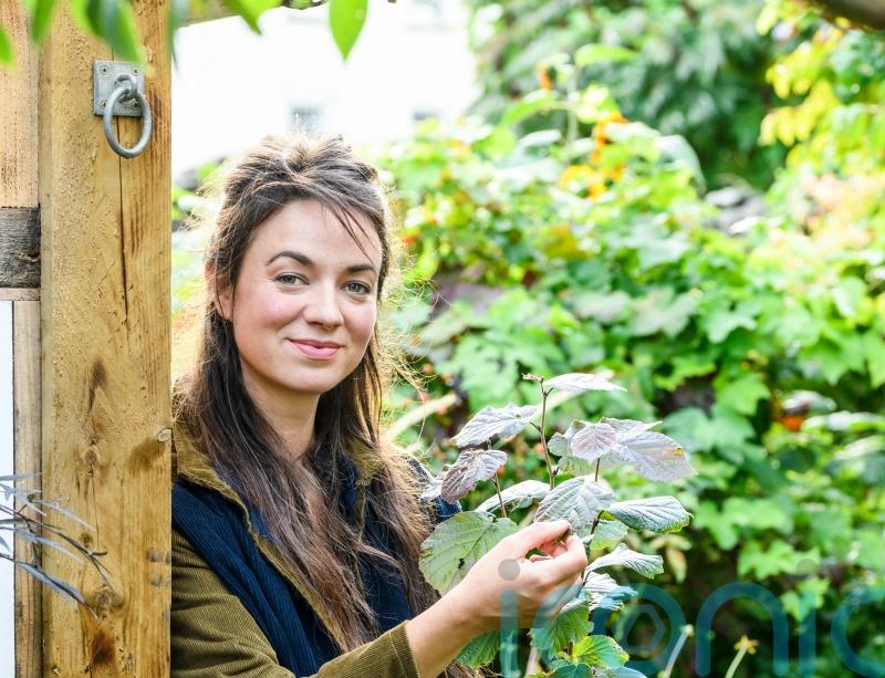 Moving house? How to tackle a new garden