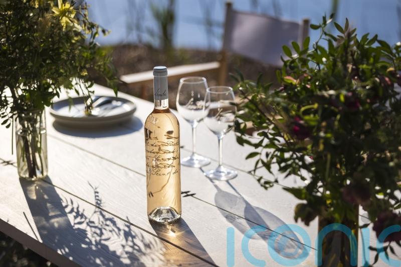 Outstanding organic wines to put a spring in your step
