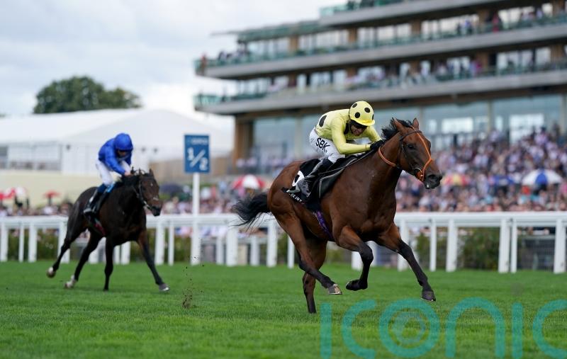National hero Murphy relishing Rosallion’s bid for 2000 Guineas glory
