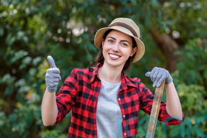 The costly insurance pitfalls to avoid when kitting out your garden this summer