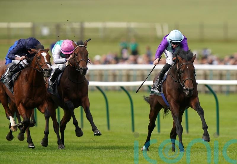 French Derby target for Guineas fourth Ghostwriter