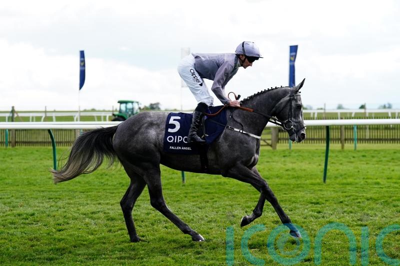 Angel set for second chance at Classic glory in Ireland or France