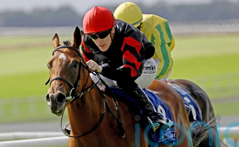 McCreery targeting ‘happy and fruitful summer’ for Vespertilio