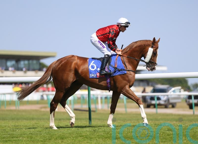 Fellowes has sights set on Royal Ascot magic from The Wizard Of Eye