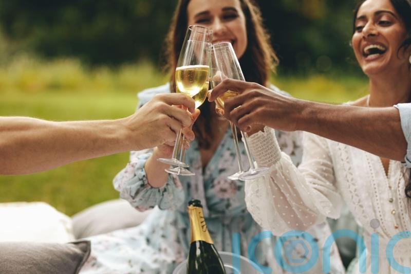 Fantastic fizzes for summer soirées, all £20 and less