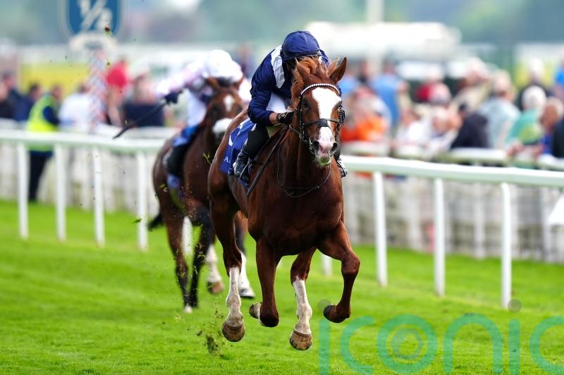 Economics adds up for Haggas in brilliant Dante success