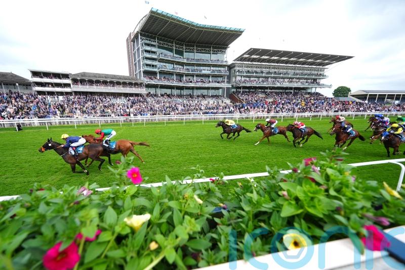 Point made at York at last by Lynas