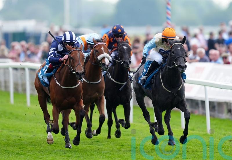 Betty Clover has Johnson Houghton in raptures with York victory